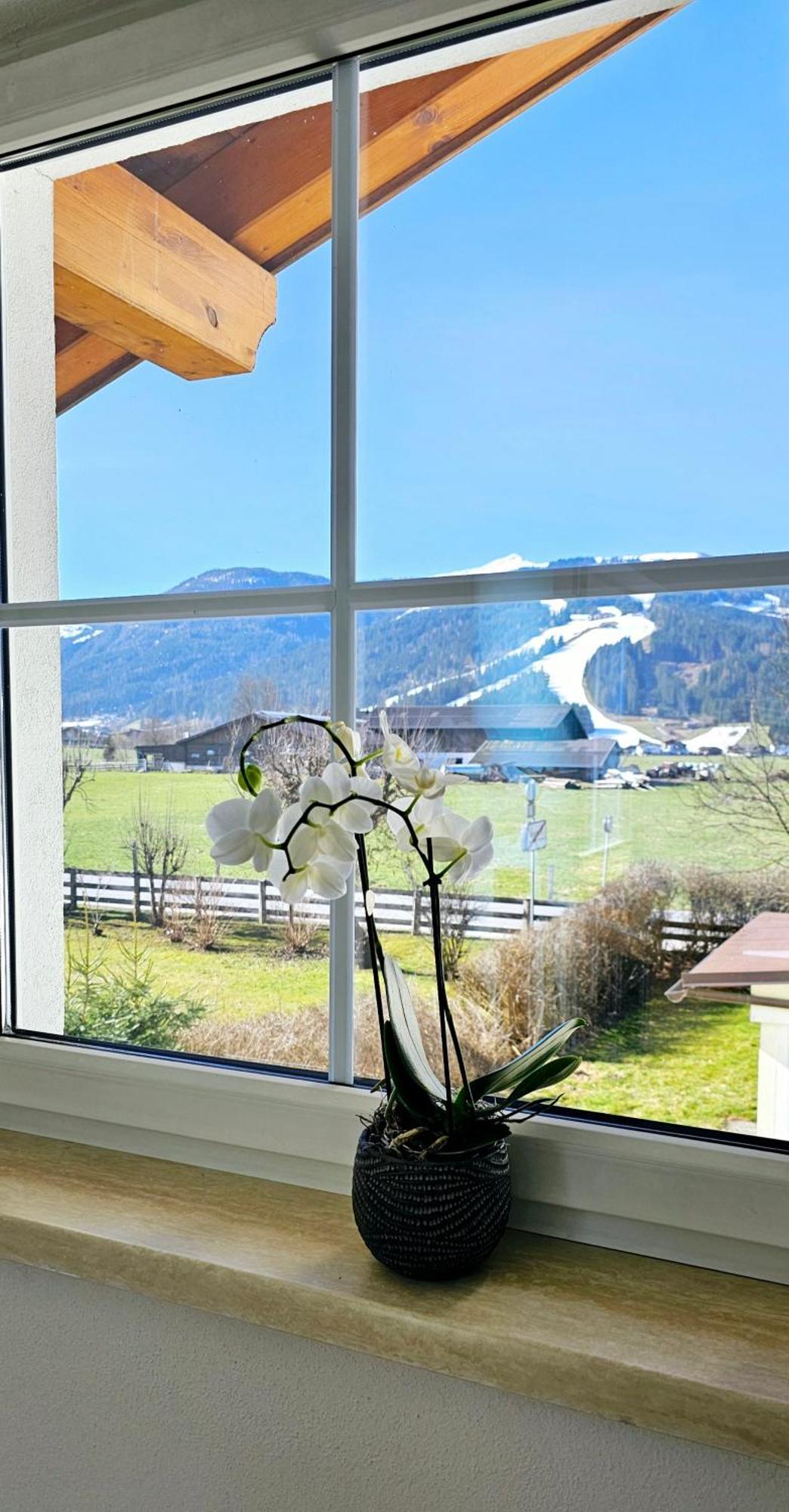 플라차우 Urlaubsland Sonnfeld 아파트 외부 사진